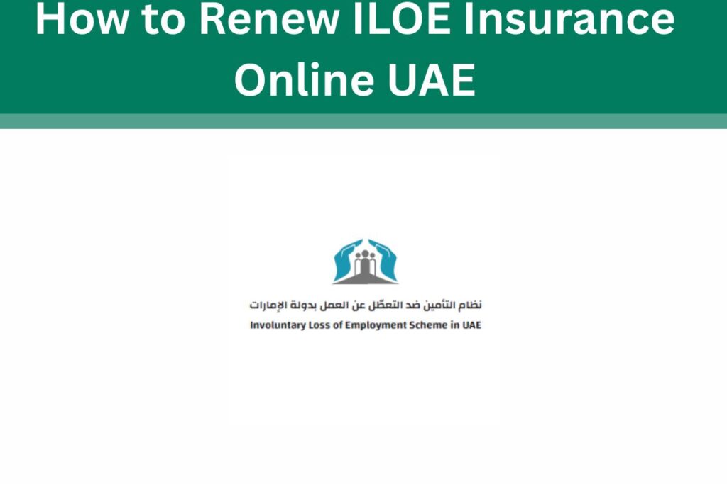 How to Renew ILOE Insurance Online UAE