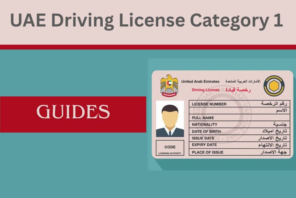 UAE Driving License Category 1